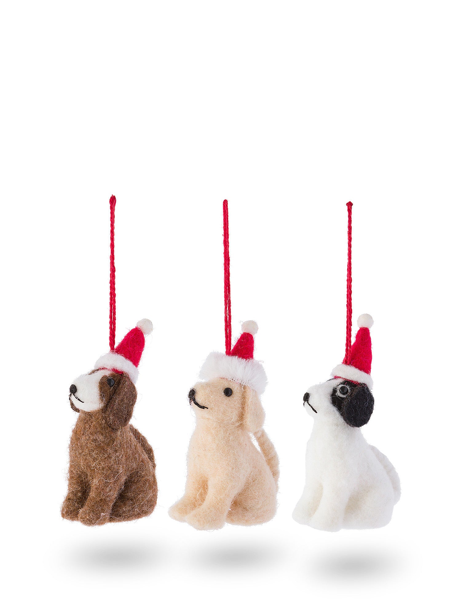 Декорация COINCASA, 7457271