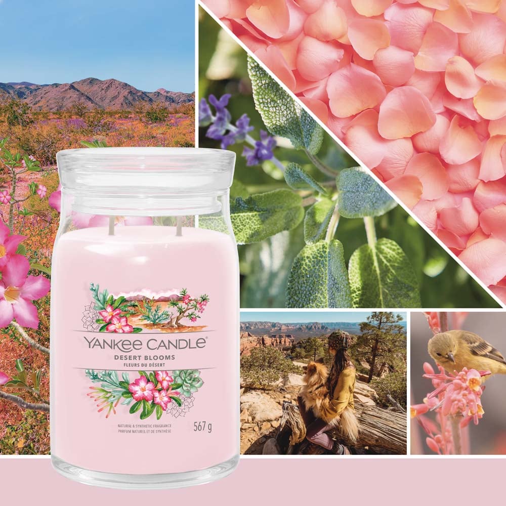 YC SIGNAT СВЕЩ ГОЛЯМ БУРКАН DESERT BLOOMS